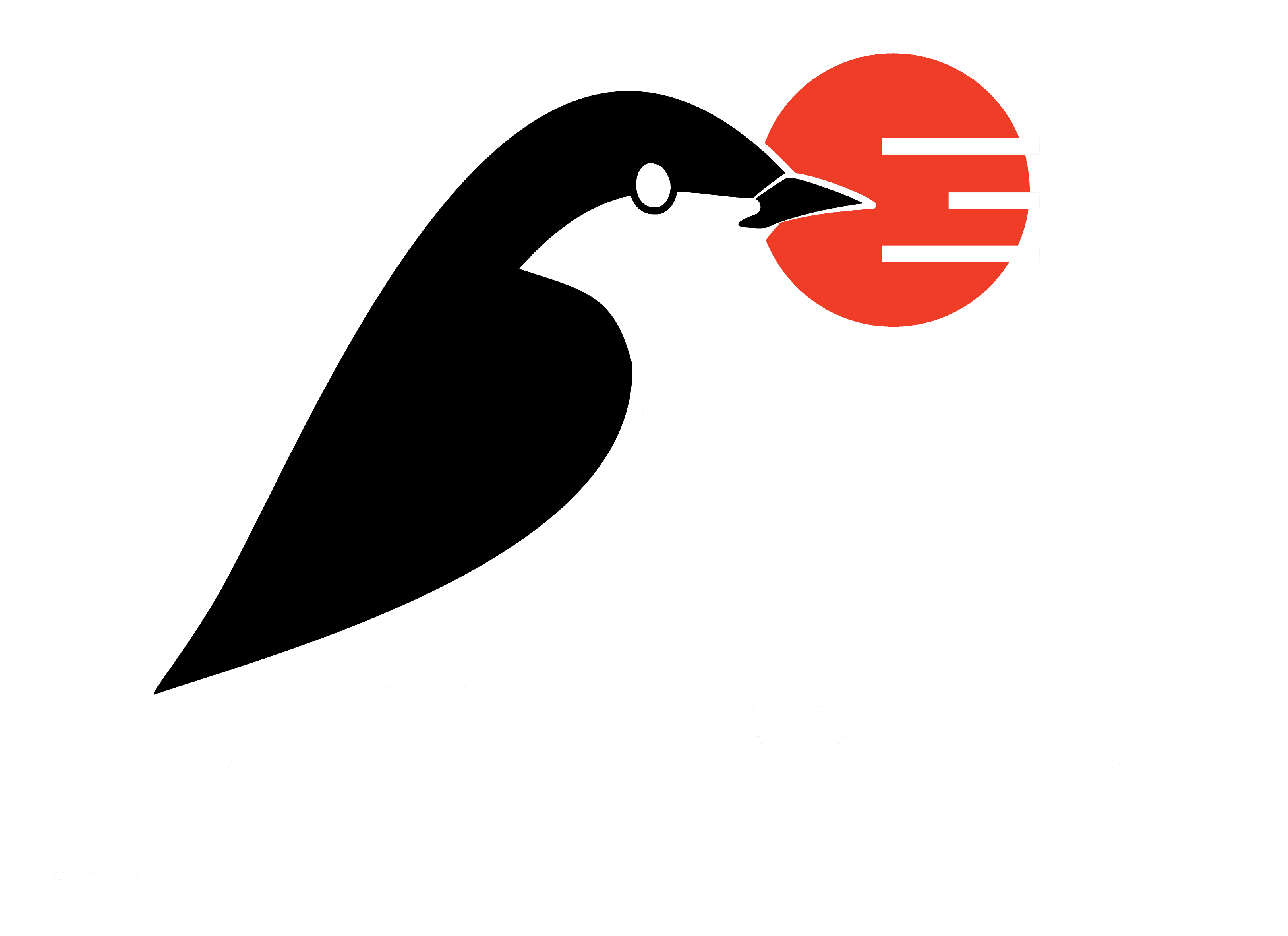 fes
